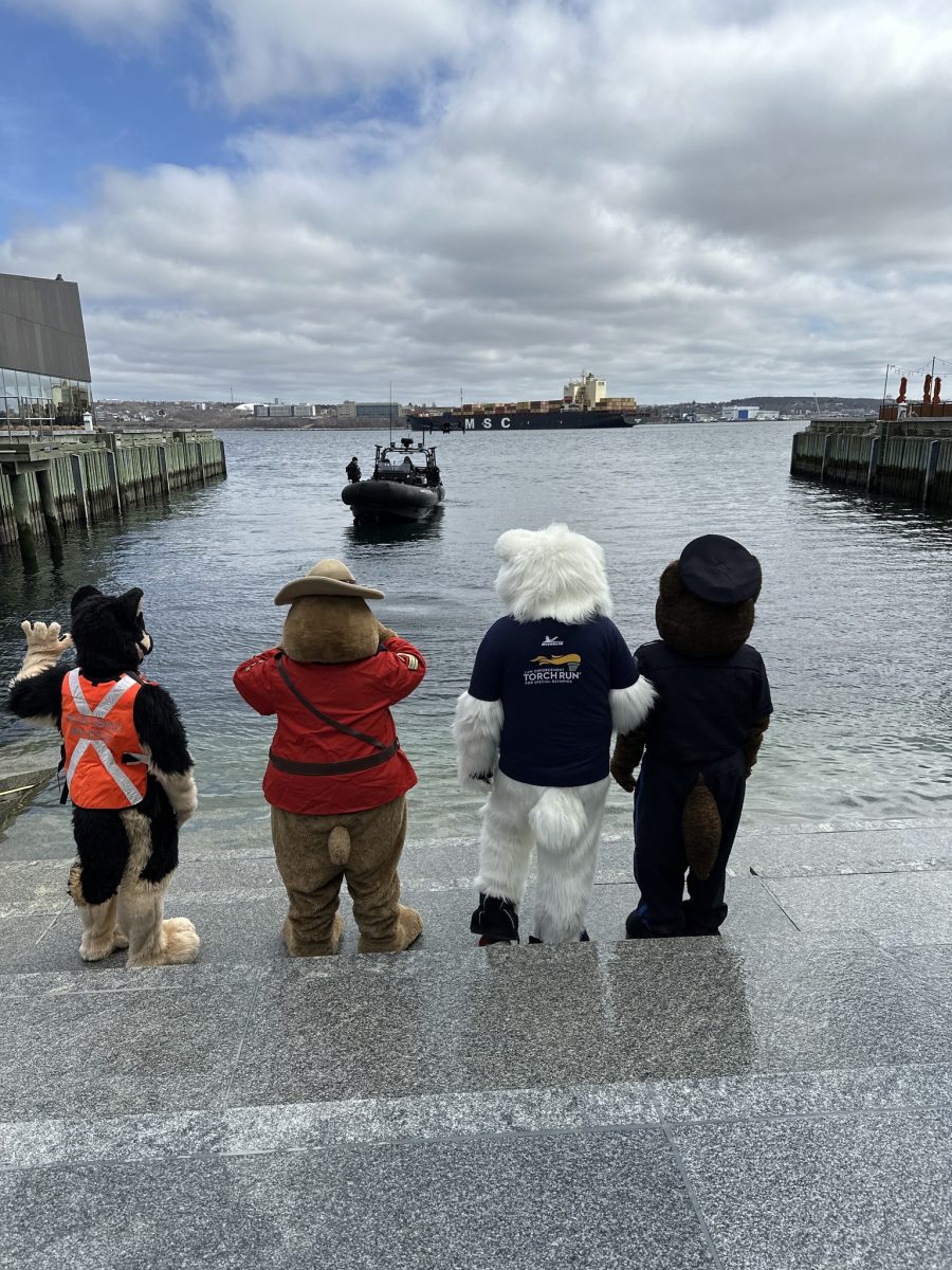 495748920 1234557725347221 3193948874781785937 n